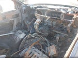 Chevrolet Trailblazer Ls 1GNDT13S552134212 снимка
