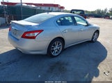 Nissan Maxima 3.5 Sv 1N4AA5AP3BC866907 снимка