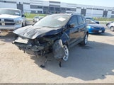 Miniaturka zdjęcia 2