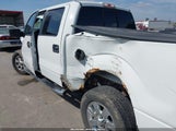 Ford F-150 Xlt 1FTFW1ET5CFA18836 снимка