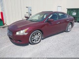 Nissan Maxima 3.5 S 1N4AA5AP1AC828199 снимка