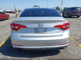 Hyundai Sonata Sport 5NPE34AF2GH332896 снимка