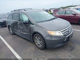 Honda Odyssey Ex-L 5FNRL5H60DB054409 снимка