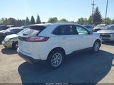Ford Edge Sel 2FMPK4J98MBA38394 fotografie