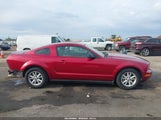 Ford Mustang V6 Deluxe/V6 Premium 1ZVFT80N955158307 снимка
