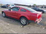 Ford Mustang V6 Deluxe/V6 Premium 1ZVFT80N955158307 fotografie