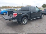 Ford F150 Supercrew 1FTFW1ET5DFD78867 снимка