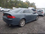 Acura Tsx JH4CL968X8C013174 снимка