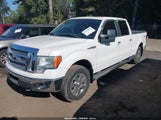 Ford F-150 Fx4/Harley-Davidson/King Ranch/Lariat/Platinum/Xl/Xlt 1FTFW1EV3AFA60212 photo