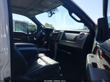 Ford F-150 Fx4/Harley-Davidson/King Ranch/Lariat/Platinum/Xl/Xlt 1FTFW1EV3AFA60212 photo