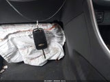 Miniaturka zdjęcia 11