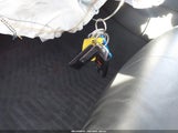 Miniaturka zdjęcia 11