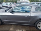 Ford Mustang V6 1ZVBP8AM7E5251643 снимка
