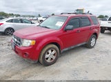 Ford Escape Xls 1FMCU0C77BKC27909 снимка
