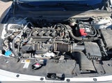 Honda Accord Lx 1HGCV1F12KA031804 снимка