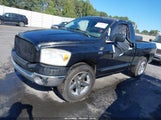 Dodge Ram  Slt 1D7HA16298J176832 fotografie