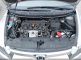 Miniaturka zdjęcia 10