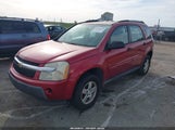 Chevrolet Equinox Ls 2CNDL13F466206299 снимка