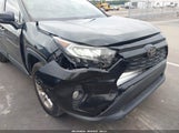 Toyota Rav4 Xle JTMW1RFV9KD507442 снимка