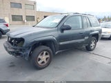 Chevrolet Trailblazer Ls 1GNDS13S242171249 снимка