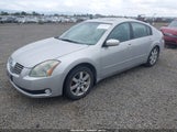 Nissan Maxima 3.5 Sl 1N4BA41E56C833748 снимка