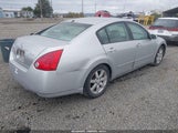 Nissan Maxima 3.5 Sl 1N4BA41E56C833748 снимка