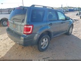Ford Escape Xlt 1FMCU0D72CKA64439 fotografie