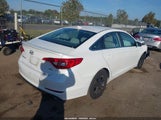 Hyundai Sonata Eco 5NPE24AA4FH144189 снимка
