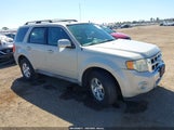Ford Escape Limited 1FMCU94G99KB94246 снимка