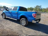Ford F-150 Fx4/Harley-Davidson/King Ranch/Lariat/Platinum/Xl/Xlt 1FTFW1EV9AFD41382 photo