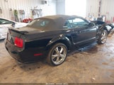 Ford Mustang Gt Deluxe/Gt Premium 1ZVHT85HX75358269 fotografie