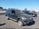 BMW X5 3.0I 5UXFA13525LU48555 снимка