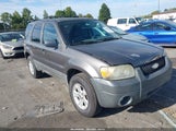 Ford Escape 1FMYU93146KA21958 снимка