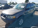 Ford Escape 1FMYU93146KA21958 снимка