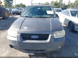 Ford Escape 1FMYU93146KA21958 снимка