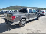 Ford F-150 Xlt 1FTFW1ET6DFA12139 снимка