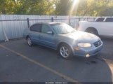 Nissan Maxima Gle/Gxe/Se JN1CA31DXYT724482 photo