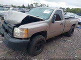 Chevrolet Silverado  Work Truck 1GCEK14X39Z207584 fotografie