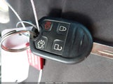 Miniaturka zdjęcia 11