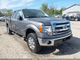 Ford F-150 Xlt 1FTFX1ET4DFD54119 fotografie