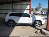 Jeep Cherokee Limited 4X4 1C4PJMDN8LD537138 снимка