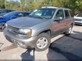 Chevrolet Trailblazer Ls 1GNDT13S232191240 снимка