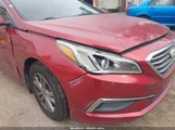 Hyundai Sonata Se 5NPE24AFXFH097651 снимка