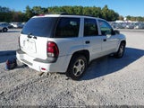 Chevrolet Trailblazer Fleet 1GNDS13S682209765 снимка