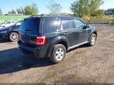 Ford Escape Xlt 1FMCU9DGXAKD46068 снимка