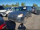 Honda Cr-V Lx JHLRD68576C021808 снимка