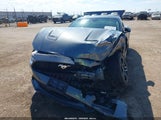 Ford Mustang Ecoboost Fastback 1FA6P8TH8P5113154 снимка