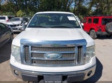 Ford F-150 Fx4/King Ranch/Lariat/Platinum/Xl/Xlt 1FTPW14V89FA63060 fotografie