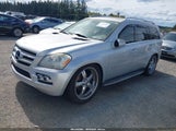 Mercedes-Benz Gl 450 4Matic 4JGBF7BE3AA616064 снимка