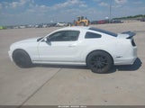Ford Mustang V6 1ZVBP8AM5E5315162 снимка